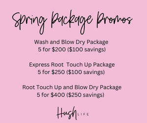 Root Touch Up and Blow Dry Package